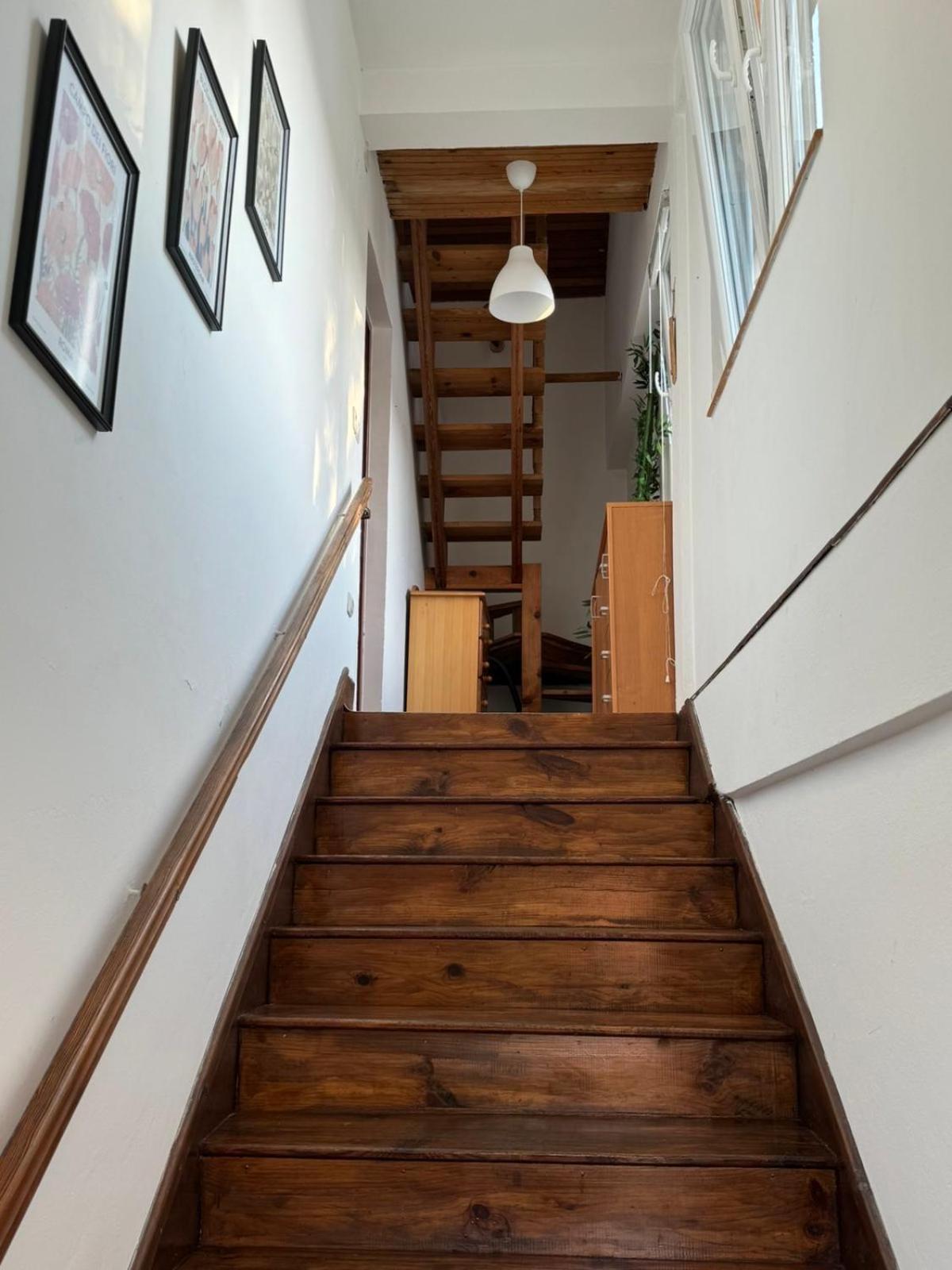 Family & Friends -free Parking Apartment *